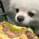 linas_xiaobao_food_2