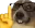 Dognerd
