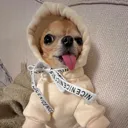 hehe