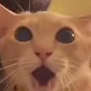 omggg