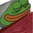 pepe_bed pepe_bed