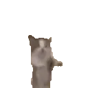 cathop cathop