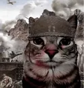 catthousandyardstarethousandyard