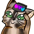 Foxo7 Foxo7
