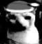 CatDespair