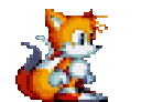 Tails1
