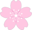 :night_sakura_logo: