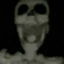 skellyfan