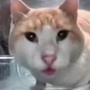 he