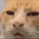 huh
