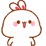 BunnyNod