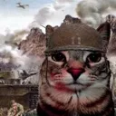 war