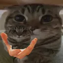 TakeBany TakeBany