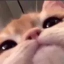 peek