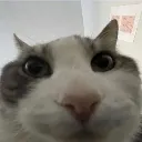 Eisenbundel