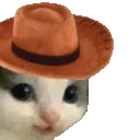 Meowdy