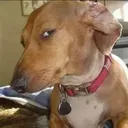 Doubt