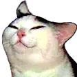 smuggo