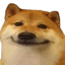 4happydoggo