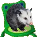 Opposum