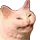 Tacticat Tacticat