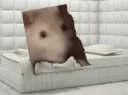 CrazyIWasCrazyOnceTheyPutMeInARo CrazyIWasCrazyOnceTheyPutMeInARo