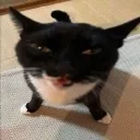 emoji_70 emoji_70