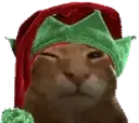 buh