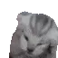 catcry