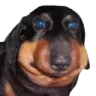 gubble