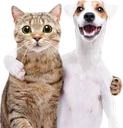 MS_amigos Discord emoji