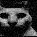 cat_despair
