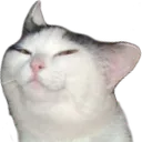 smolcat Discord Emoji