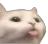 cat Discord Emoji