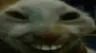 xdd