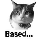 misterbased