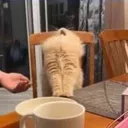 ahhhhhhh