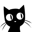 cat_eyes