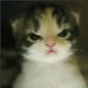 emoji_256