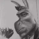DragonLevelRizz