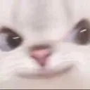 cat_smirk