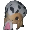 mite mite