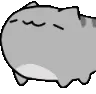 nodcatgrey