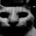 uncanny_cat