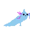 rivuslappy1