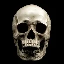 realskull