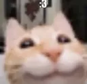 sillylilguy