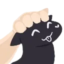 CuriousPat