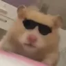BasedHamster