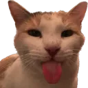 sillyII